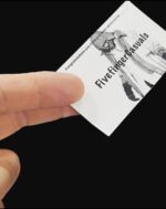 CP Company 203A Flatt Nylon Long down hooded jacket -     Large / p2p 24.5” - Image 7